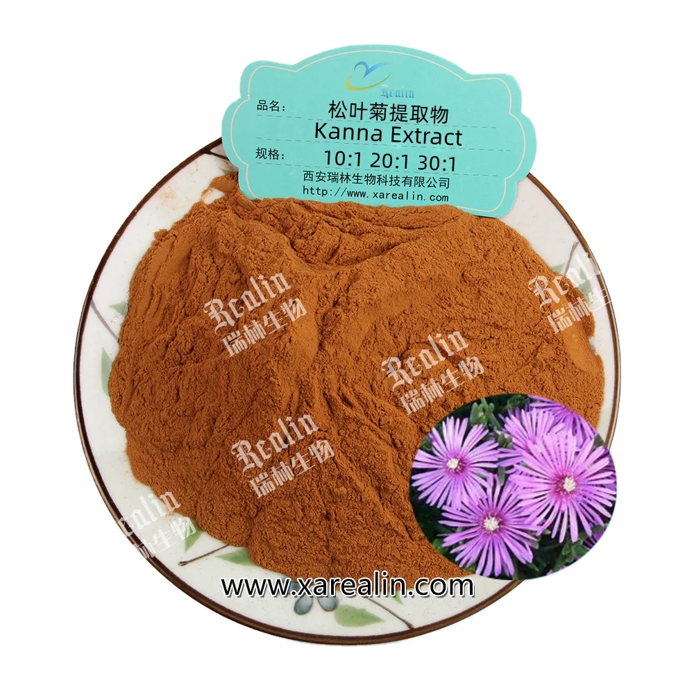 Sceletium Tortuosum Extract Kanna Powder Kanna Extract