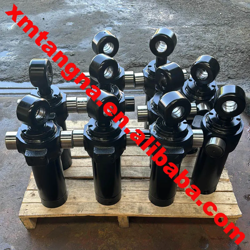 ZX200-3 Hydraulic Cylinder 4613950 for Hitachi Lift Boom Bucket