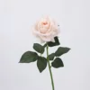 1038Rose (poudre de viande)
