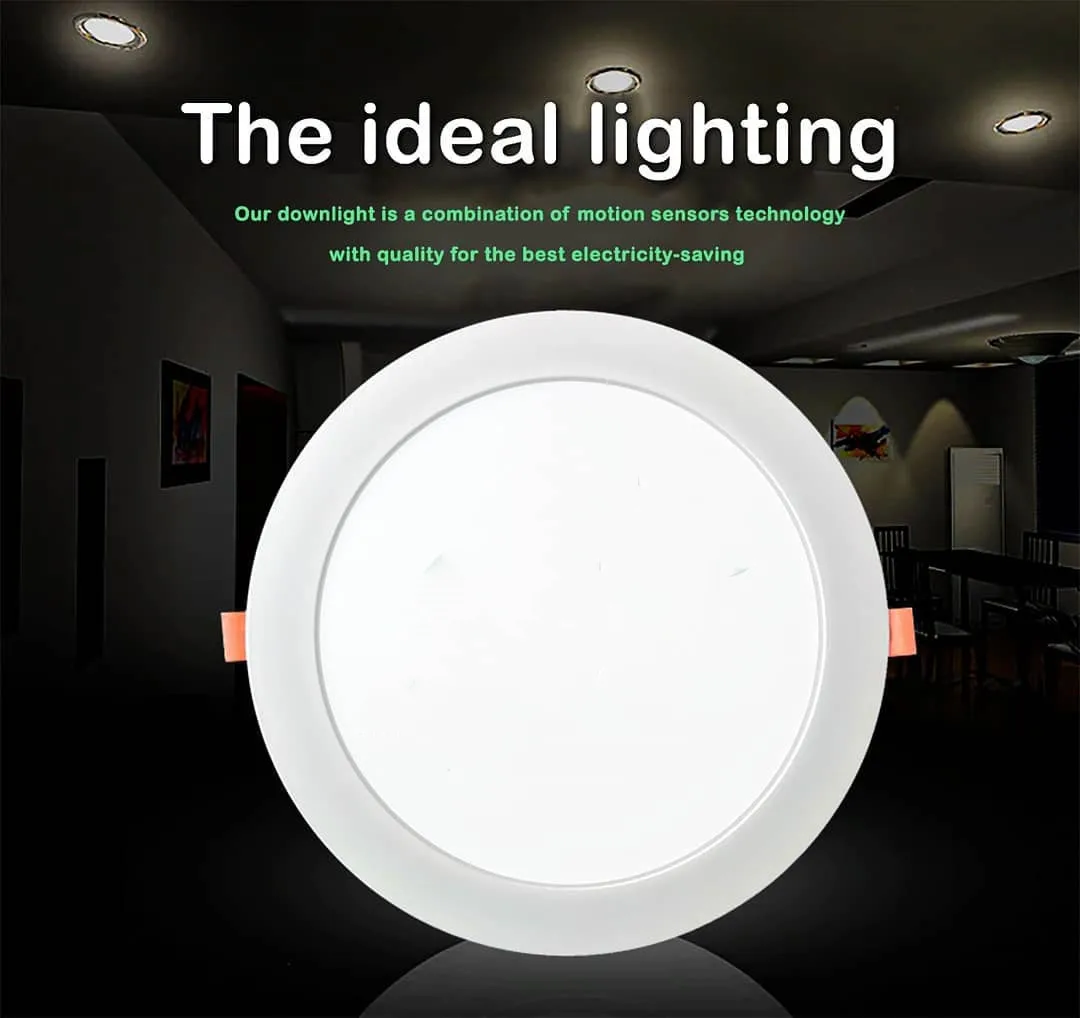 motion sensor downlight.jpg