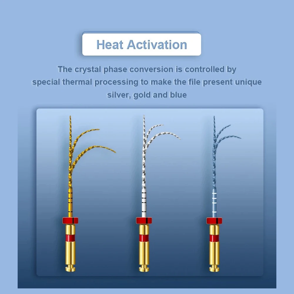 Niti Denta TC Files teeth root canal file with high Flexibility Root Canal Forming System supplier