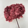 Nero rosso
