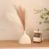 One beige and one brown flat ceramic vase with reeds