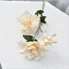 bianco latte