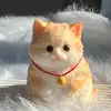 Orange Cat