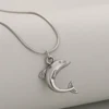 Delfín Plata
