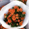 Barbie naranja rosa larga-10 palos