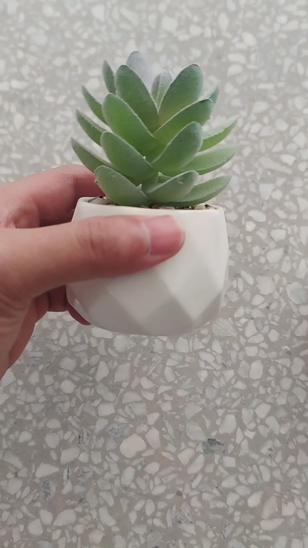 Set Of 4 Mini Assorted Artificial Succulent Fake Plants Pot Modern