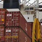 Sea ZIM Logistics Full Container Dropshipping From Guangdong To Alexandria IN USA/Unites States China Sea Freight