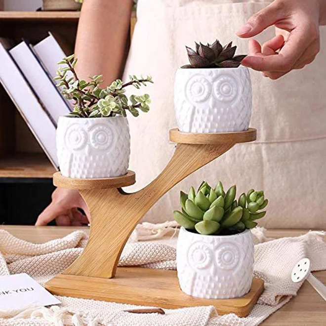 3Pcs Owl Succulent Pots with 3 Tier Bamboo Saucers Stand Holder White Modern Decorative Ceramic Flower