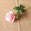 Pink 5