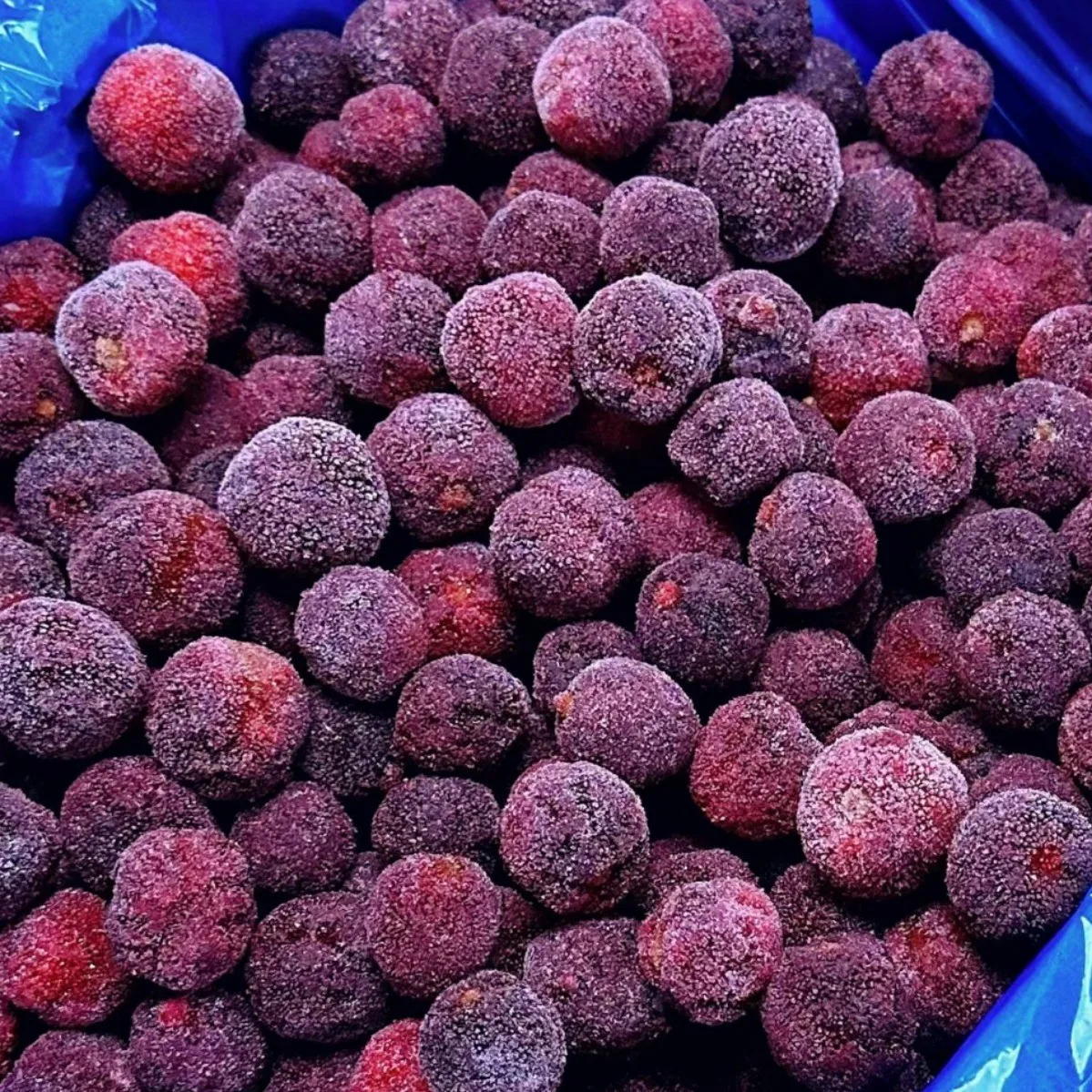 China Supplier IQF Frozen Fruits Healthy Natural Frozen Bayberry