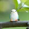 Uccello rosa