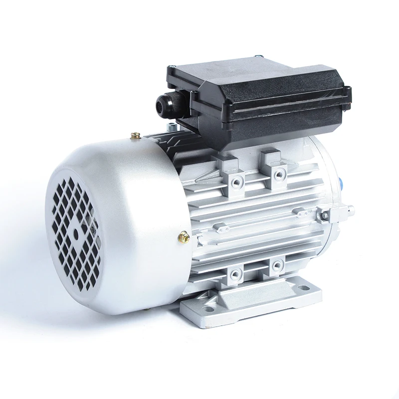 Wholesale Variable Speed Low Rpm Ac Electric Motor Single Phase Electric  Motors 220 Volt 50hz 2900rpm 1hp