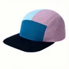 สีฟ้าและสีชมพู
