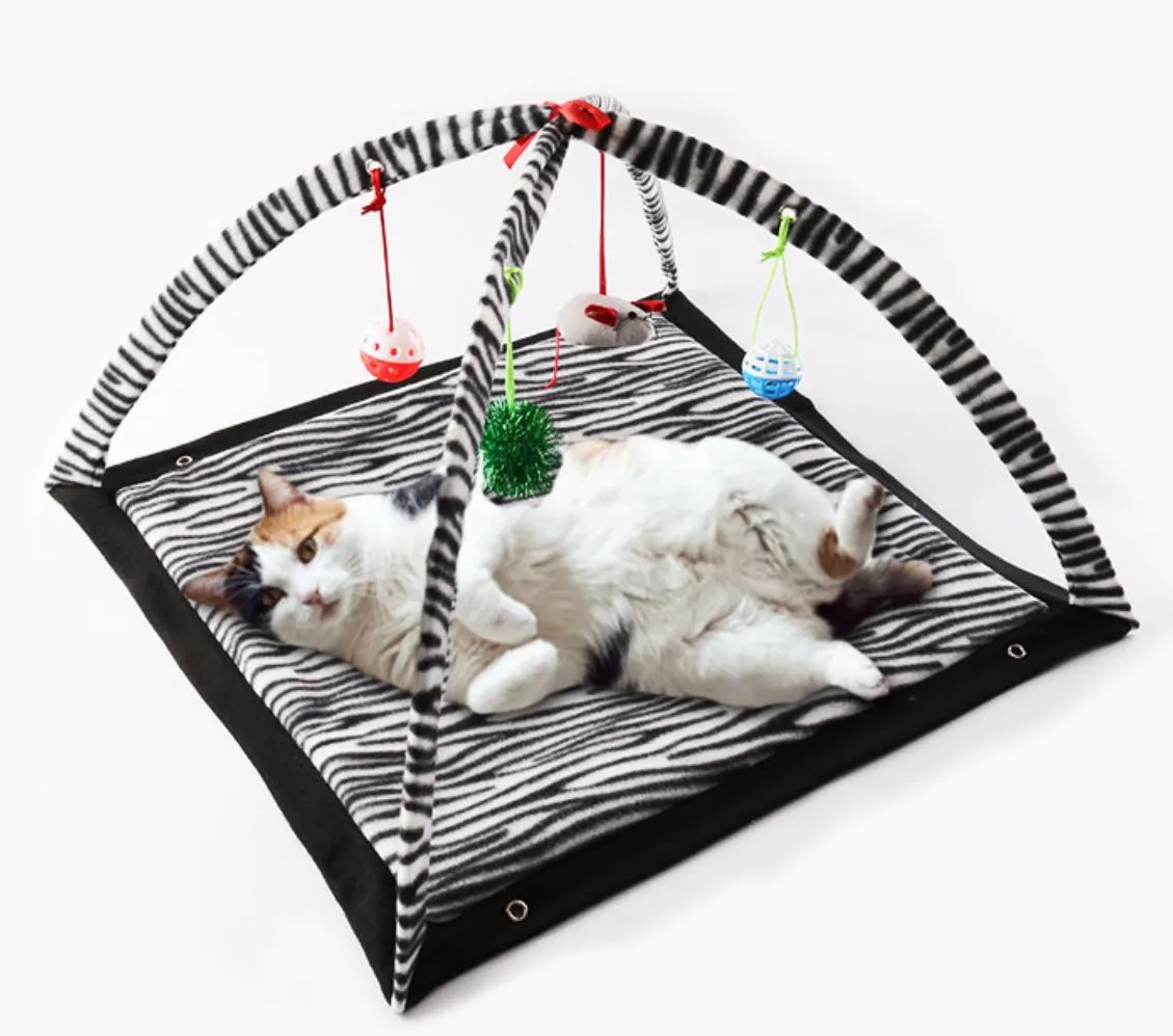 cat activity play mat