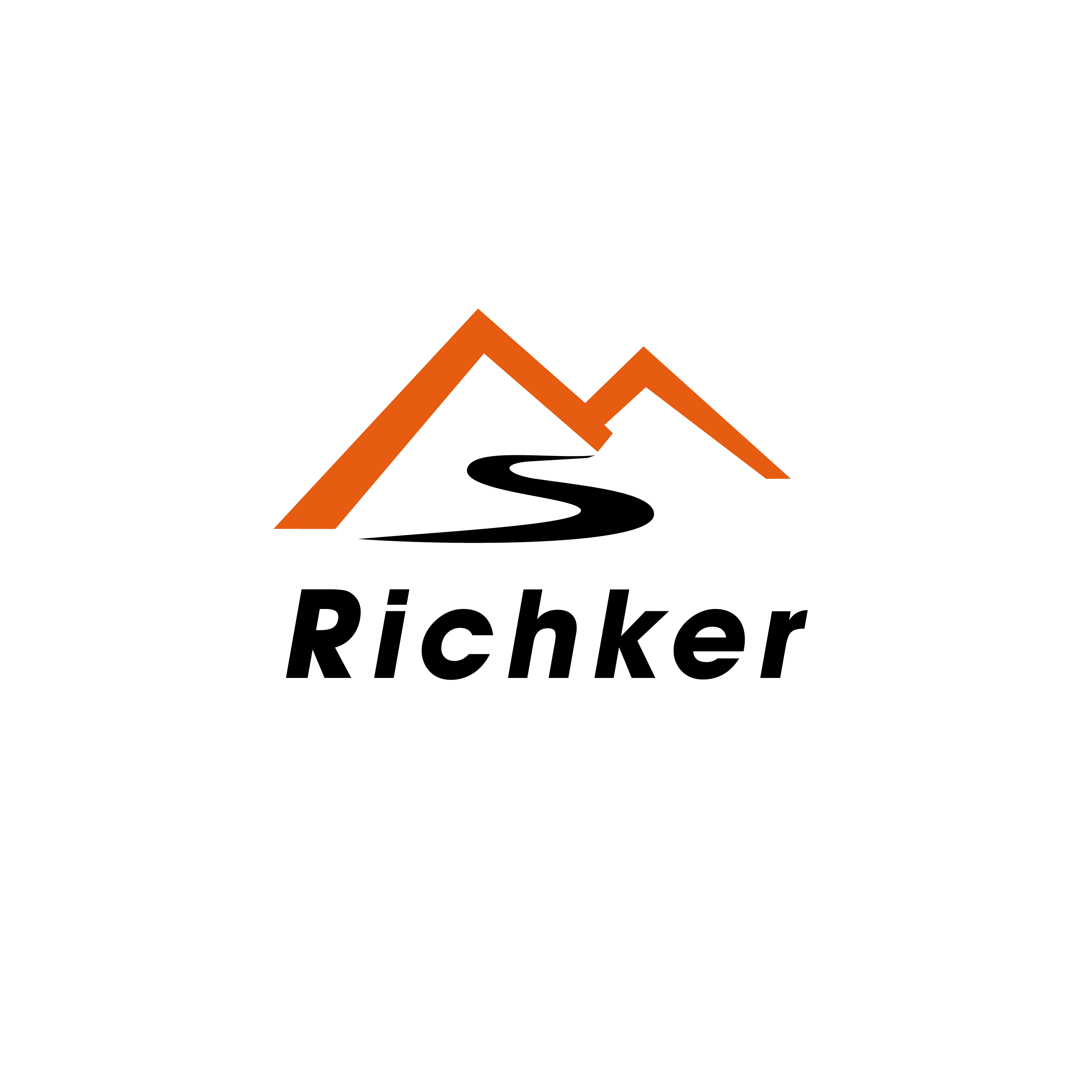 Company Overview Xiamen Richker Information Technology Co Ltd 