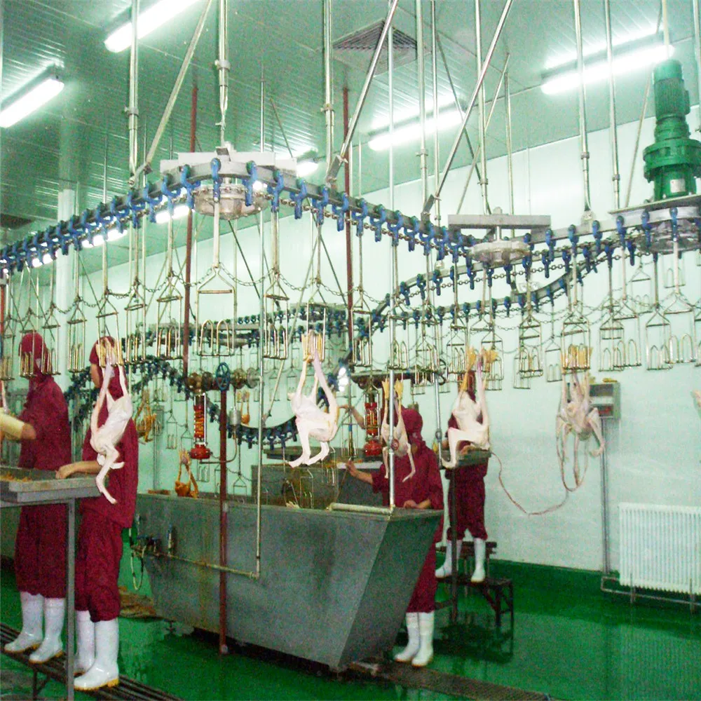 Poultry processing plant electric chicken stunner poultry slaughtering plant