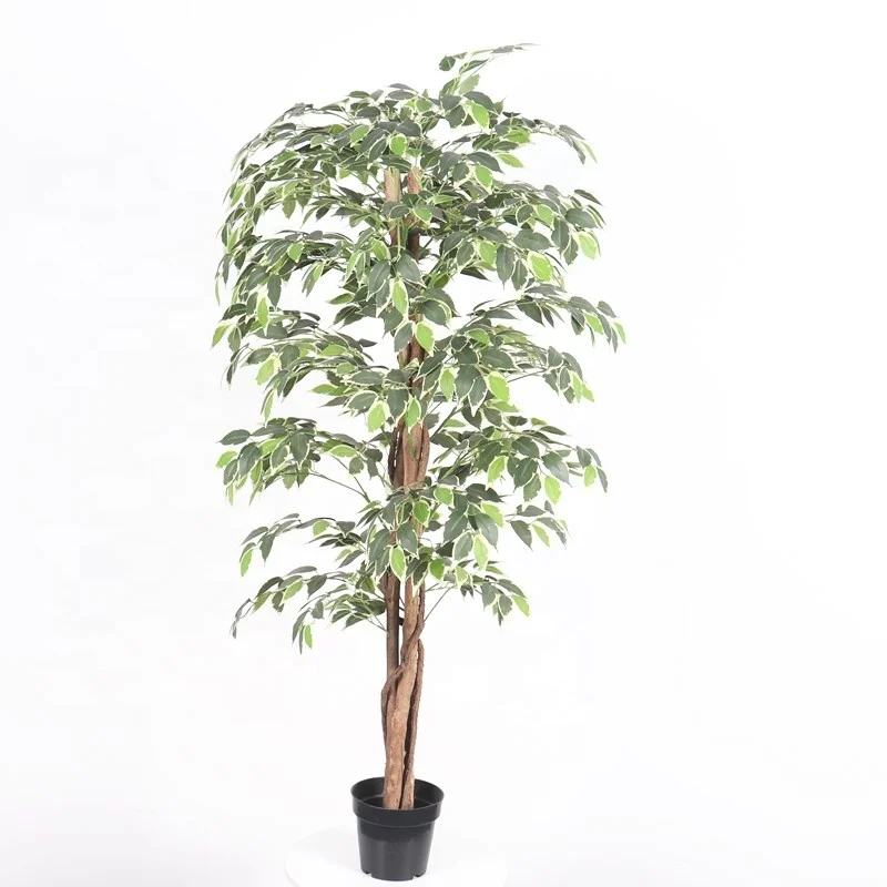 Echter Holzstamm Indoor-Banyan mit Lebensechten Blten Knstlicher Ficus  Bonsai Pflanze Baum mit Wurzeln