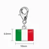 Bandiera italiana color acciaio