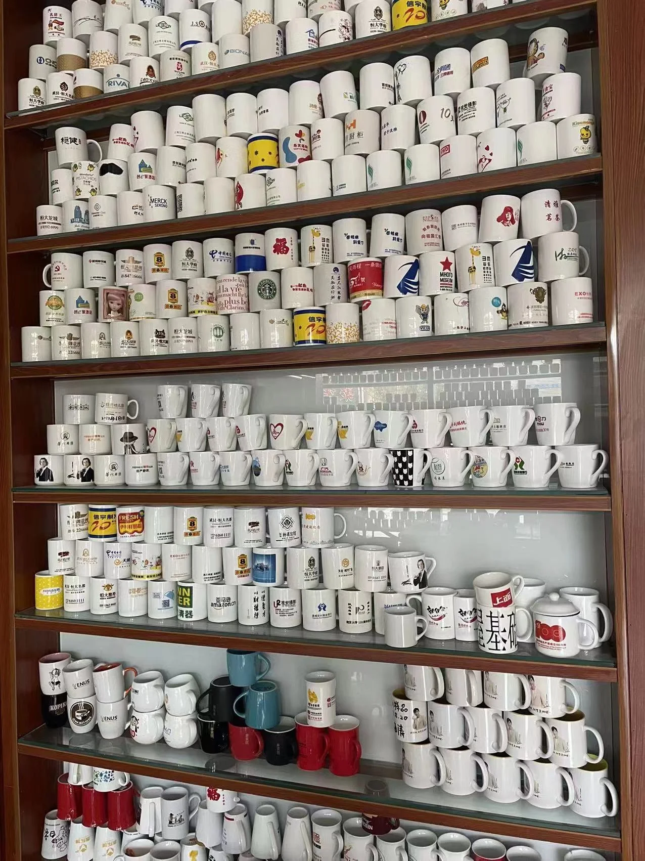 24 coffee cups Scoutmaster 24-Cup Camping Coffee Percolator main image 0