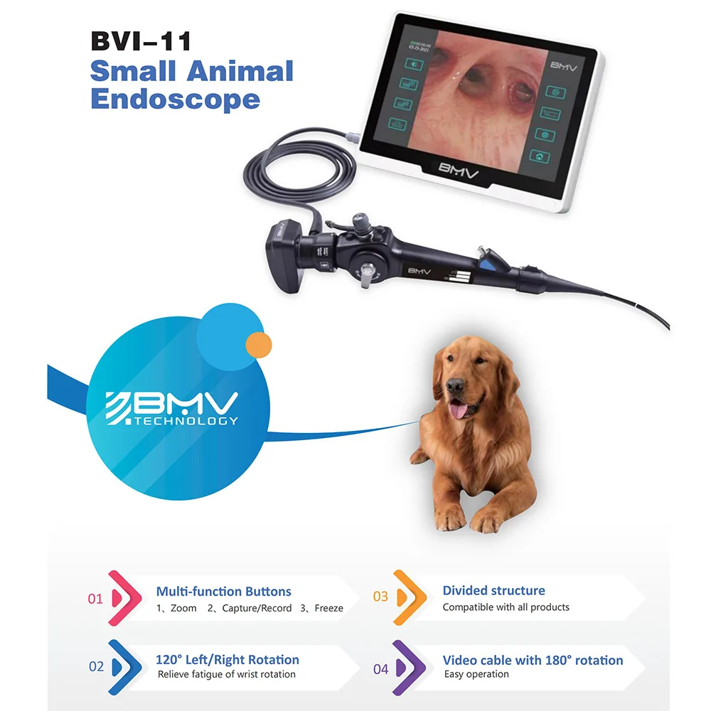 BMV BVI-11 No Fiber Video veterinary camera endoscopio veterinary portatil  flexible cat dog rabbit horse gastroscopy endoscope| Alibaba.com