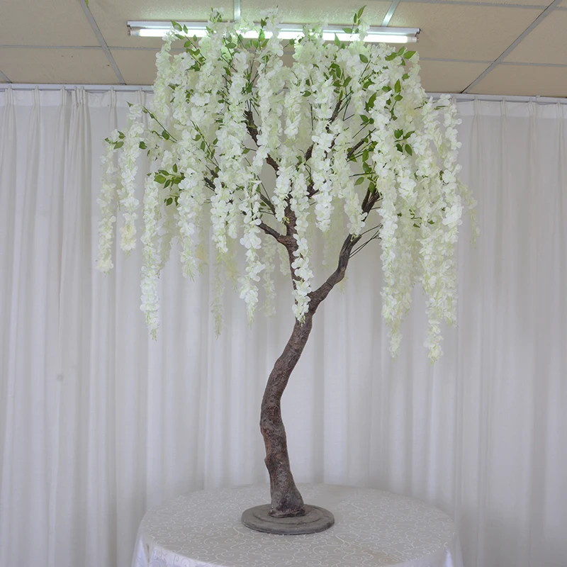 schefflera arboricola zimmerpflanze Schefflera Arboricola Nora  Bloombox Club DE