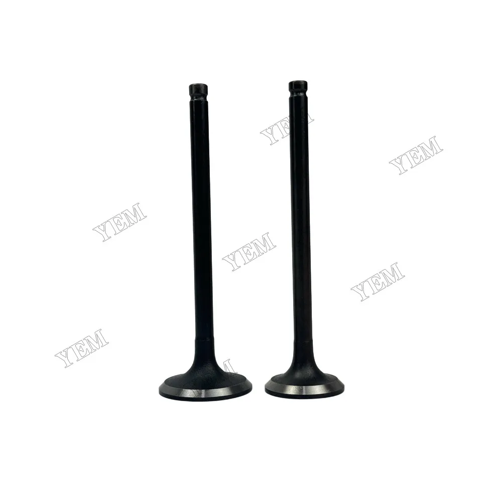 Intake and Exhaust Valve Fit for Mitsubishi 4D56 Engine 5