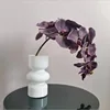 10-head display-pattern phalaenopsis-1 deep purple