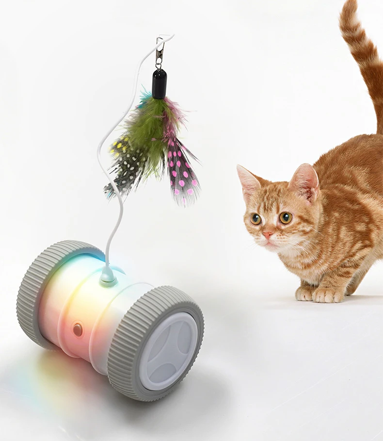Interactive Cat Toy Automatic Electric Rotating Kitten Toy Buy