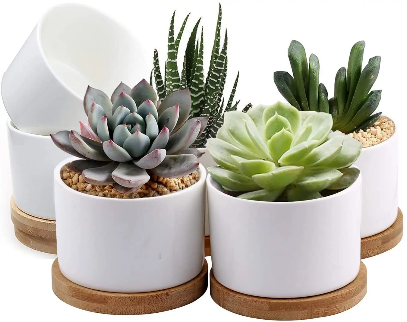 Hot Sale Products In 10 Top 10 Flower Pots Planters Garden Flower Pot For  Garden Plant Succulent Plant Pot With Bamboo Tray   Buy Flower Pots ...
