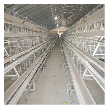 Battery Door Automatic Opener with Aluminum Motor Hot Product 2019 Provided 75 Smart Poultry Farms with a Capacity of 5000 Birds