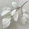 Blanc, Feuille de gâteau