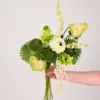 Blanc, jaune, vert, rouge, palmier, perle, fleur, tournesol, feuille