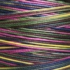 ML0081