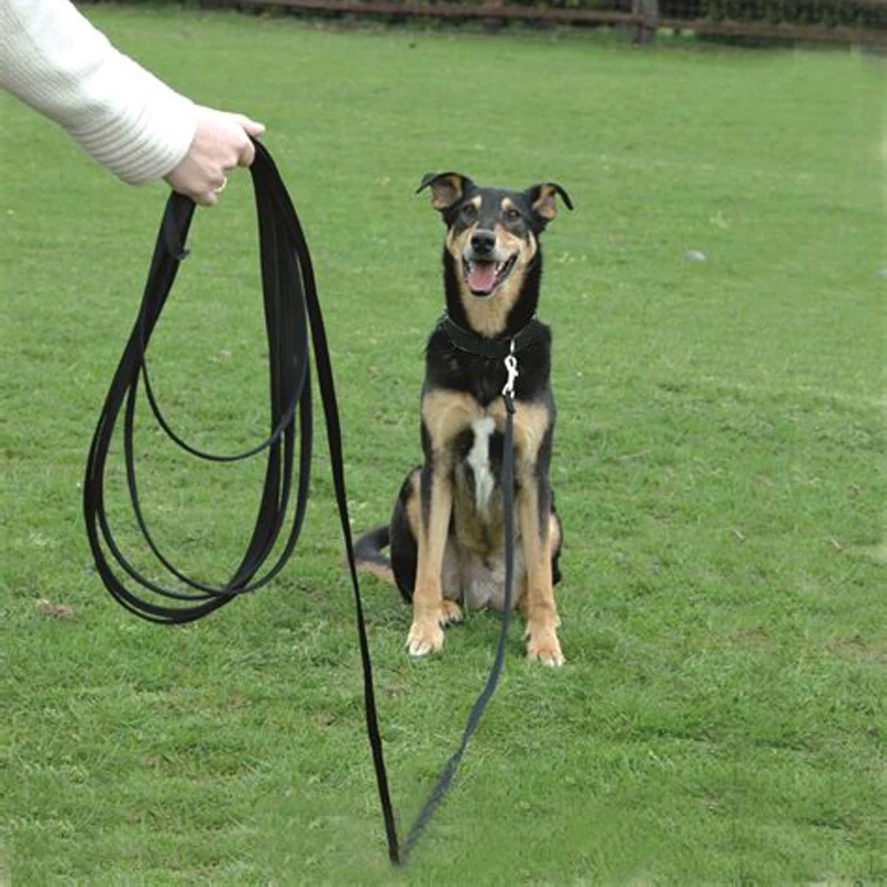 Training Dog Leash. No Dogs Beyond this line.