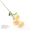 Asakabeshi color