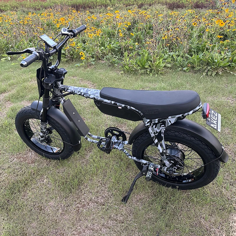 ZX 20*4.0 Inch Fat Tires Snow E-Bike 48V 1500W for 2 People