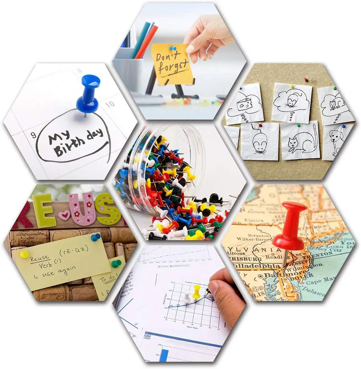 Wholesale Office Supplies Colorful Thumbtack Drawing Pins for Effective Organization factory