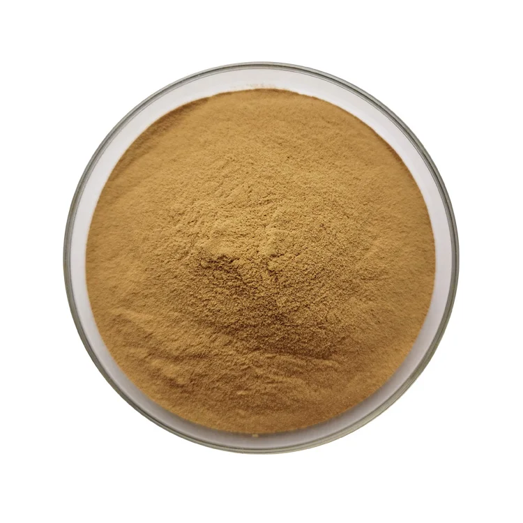 Bulk Bacopa Monnieri Extract Powder 10% 20% 50% Bacopasides Bacopa Monniera Extract