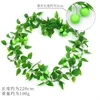 Green apple vines (small fruit)