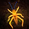 Dynamic grasshopper/21CM*41CM