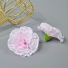 rosa 1
