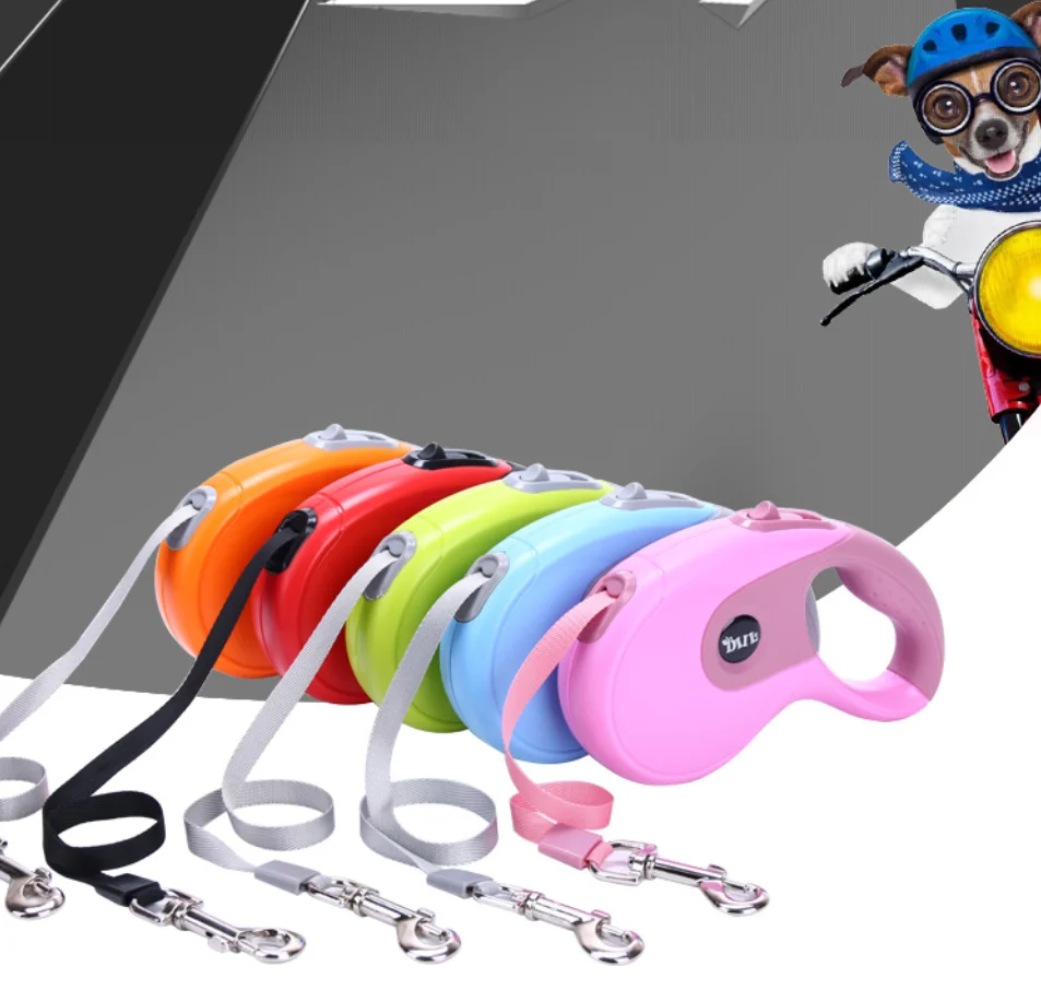 Photo inspiration: Fresh Look at Automatic Retractable Abs Dog Leash For Small Medium Breeds Dog