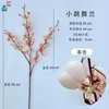 Brown Dancing Orchid DG