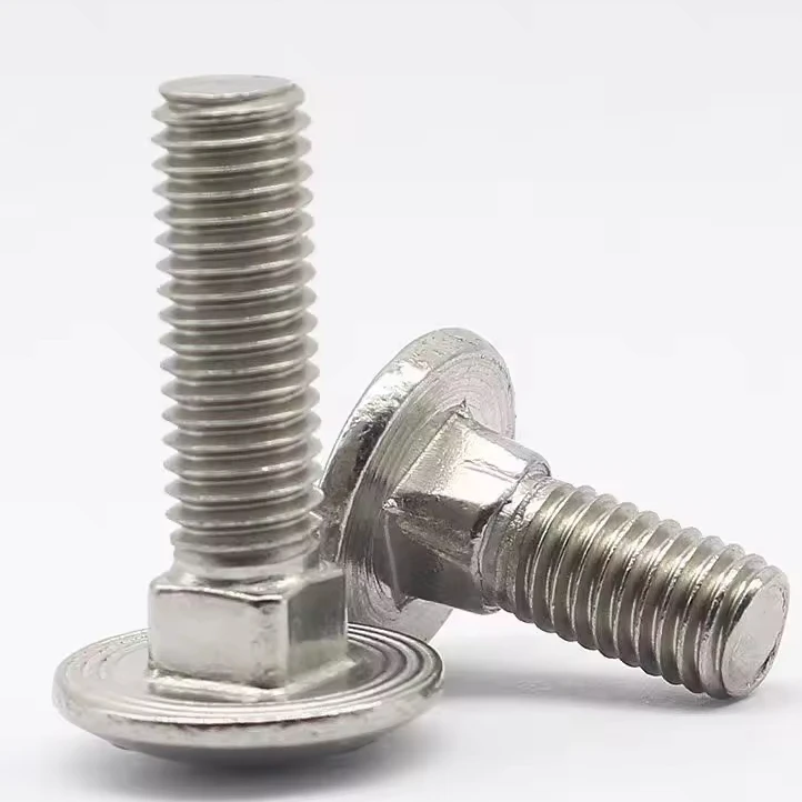 Stainless steel 304 big head carriage screw semi-circular head square neck bolt rack screw