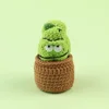 Melon (mini bassine en laine moyenne)