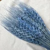 Bleu foncé