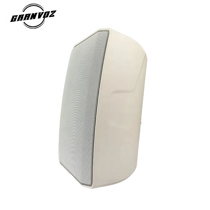 Professional New Mountable Midrange Two Way Slim Audio Fansion Style Wall Speaker