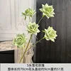 5 rosas de copo de nieve